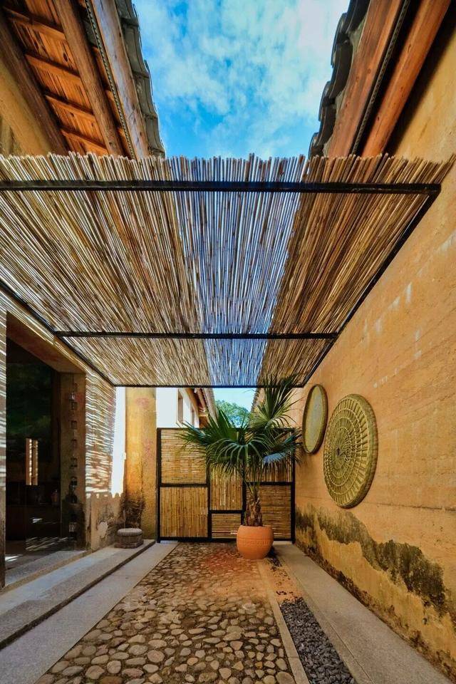 冬日浪漫！深圳坪山賞梅路線快收藏好