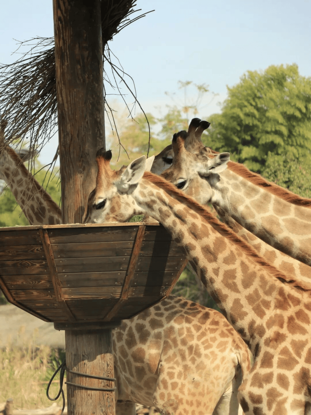 寒假湄旅遊：奔赴一場21℃的自然文化深度邂逅