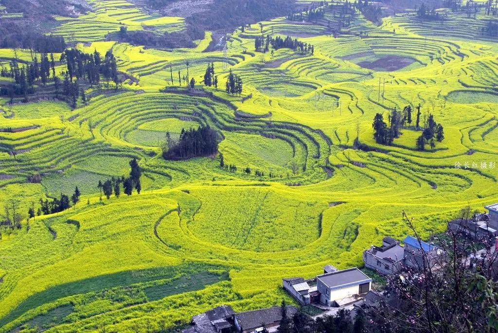 【國際旅遊攝影網】推薦住宿羅平螺絲田旭升客棧