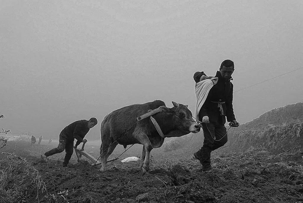 國際旅遊攝影網2026年國內外攝影路線全景指南