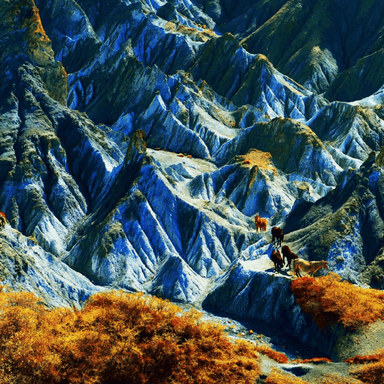 四川甘孜推出旅遊景區終身門票一卡通，官方回應三大核心問題