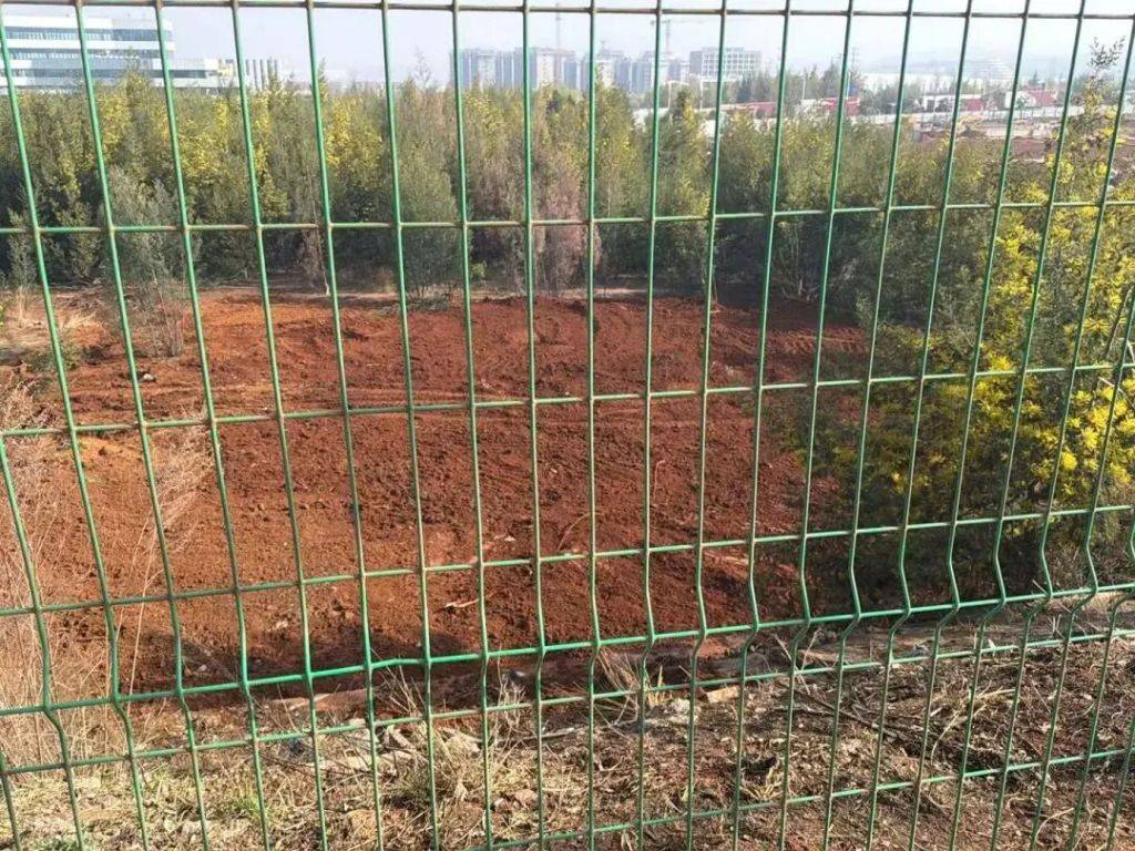 昆明空港物流園附近被傾倒生活垃圾，環保部門：累計清理10.7噸廢棄物