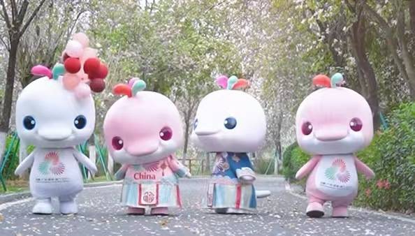 賞花品美食、偶遇“大灣雞”！這個週末來華農逛春日集市