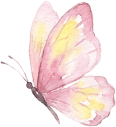 收藏！泉州春日賞花去哪裡？花期+地址全攻略