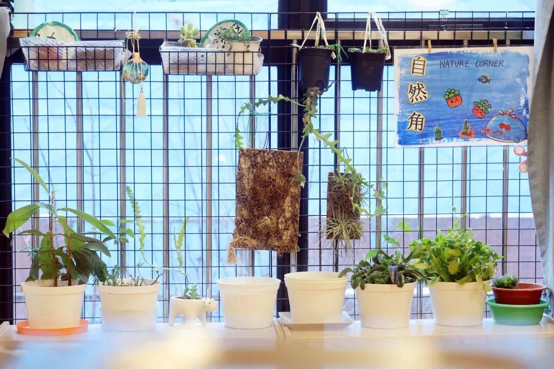 全球最幸福國家芬蘭，為什麼教育也是第一？女兒在海淀“芬蘭幼兒園”揭秘…