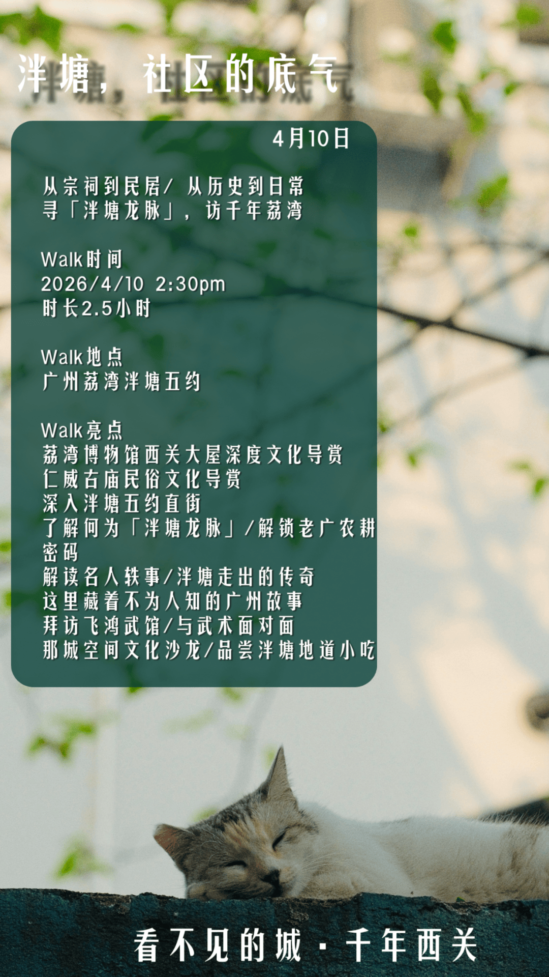 搬家了！速來