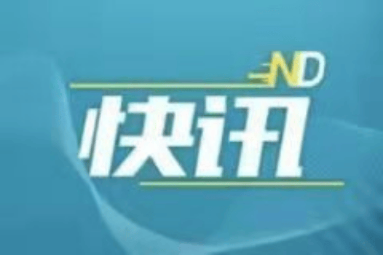 蓮花山上重溫入隊誓詞，深圳這所小學的清明節活動很走心