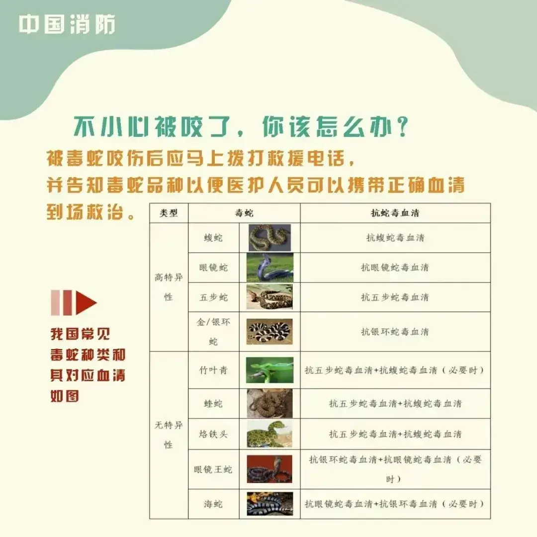 雲南3歲女童被眼鏡王蛇咬傷，“假死”3天后奇蹟生還！