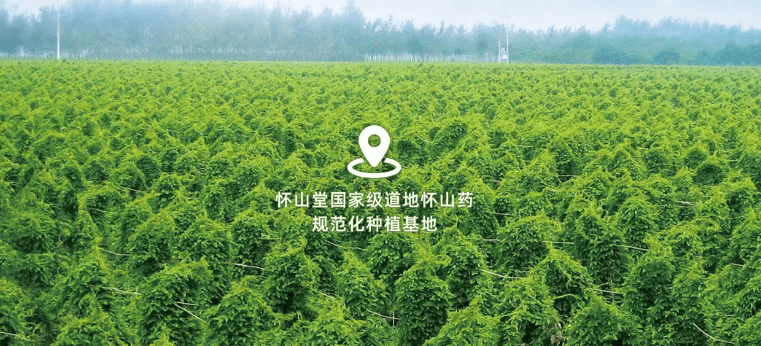 戲劇性變化出現了！