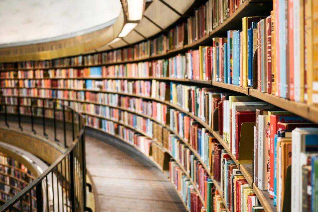 陳英：未來的文學會更加重視“體驗”和“認識”｜刀鋒圖書獎推委2025閱讀圖景