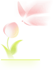 【半城江水 半城花】冰城春花開啟“杏運時間”｜這份粉色賞花攻略請收藏→