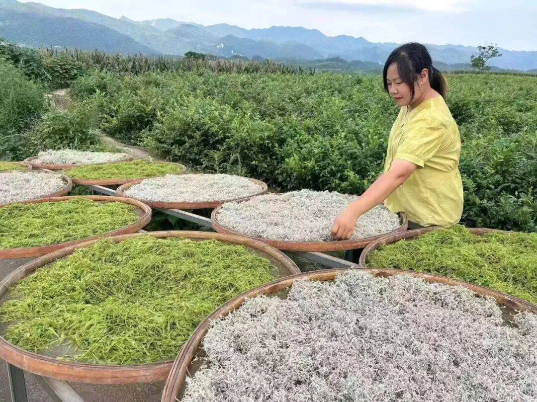 重大發現：雞蛋與它同吃，三高降了，肝乾淨了，眼睛明亮了，免疫力提高10倍!(建議收藏)