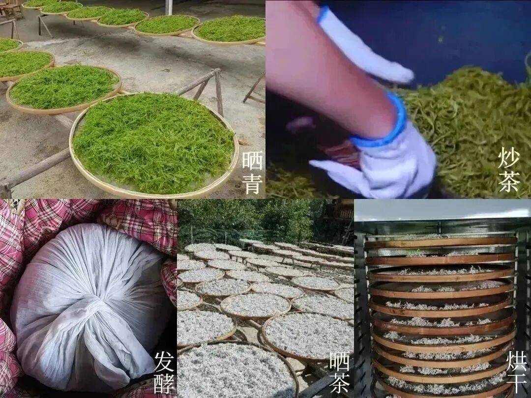 重大發現：雞蛋與它同吃，三高降了，肝乾淨了，眼睛明亮了，免疫力提高10倍!(建議收藏)