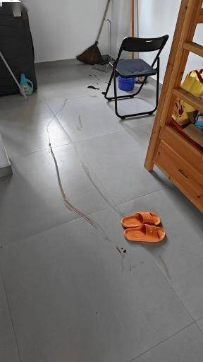 地板上血跡斑斑，還有我爬行時留下的兩道長長的血痕